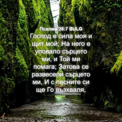 Picture 04 - Псалми 28:7 BULG - Господ е сила моя и щит мой; - Bible Verse Picture