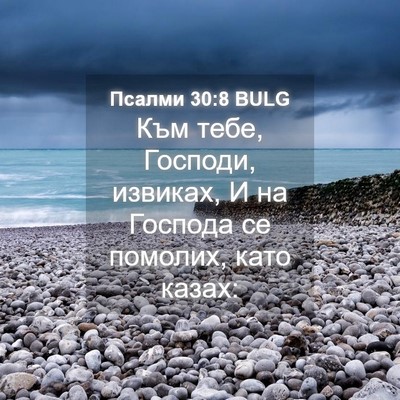 Picture 04 - Псалми 30:8 BULG - Към тебе, Господи, извиках, - Bible Verse Picture