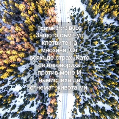 Picture 04 - Псалми 31:13 BULG - Защото съм чул клетвите на - Bible Verse Picture