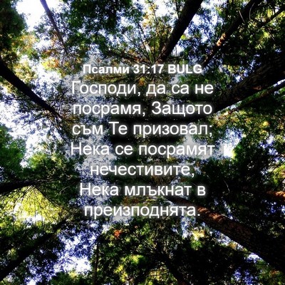 Picture 04 - Псалми 31:17 BULG - Господи, да са не посрамя, - Bible Verse Picture