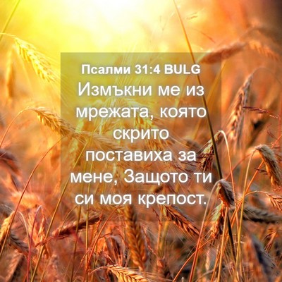 Picture 04 - Псалми 31:4 BULG - Измъкни ме из мрежата, - Bible Verse Picture