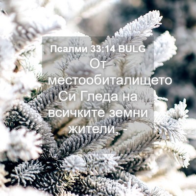 Picture 04 - Псалми 33:14 BULG - От местообиталището Си - Bible Verse Picture