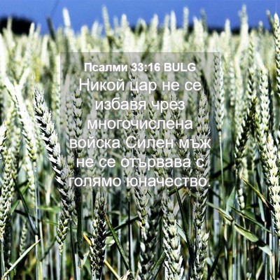 Picture 04 - Псалми 33:16 BULG - Никой цар не се избавя чрез - Bible Verse Picture