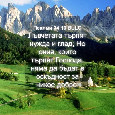 Picture 04 - Псалми 34:10 BULG - Лъвчетата търпят нужда и - Bible Verse Picture