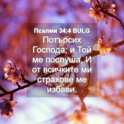 Picture 04 - Псалми 34:4 BULG - Потърсих Господа; и Той ме - Bible Verse Picture