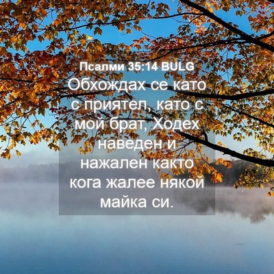 Picture 04 - Псалми 35:14 BULG - Обхождах се като с приятел, - Bible Verse Picture