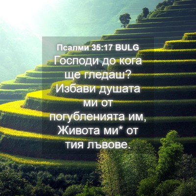 Picture 04 - Псалми 35:17 BULG - Господи до кога ще гледаш? - Bible Verse Picture