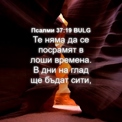 Picture 04 - Псалми 37:19 BULG - Те няма да се посрамят в - Bible Verse Picture