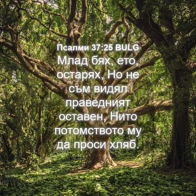 Picture 04 - Псалми 37:25 BULG - Млад бях, ето, остарях, Но - Bible Verse Picture