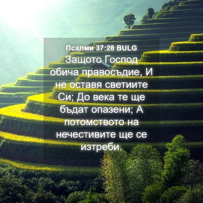 Picture 04 - Псалми 37:28 BULG - Защото Господ обича - Bible Verse Picture
