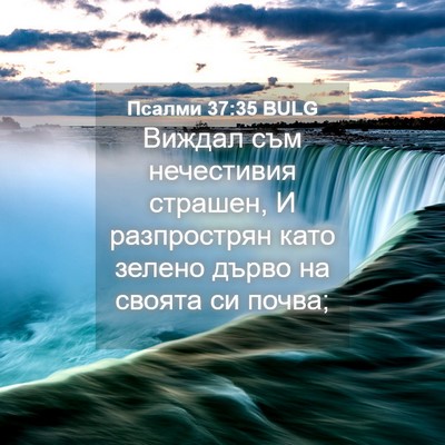 Picture 04 - Псалми 37:35 BULG - Виждал съм нечестивия - Bible Verse Picture