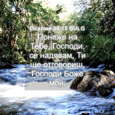Picture 04 - Псалми 38:15 BULG - Понеже на Тебе, Господи, се - Bible Verse Picture