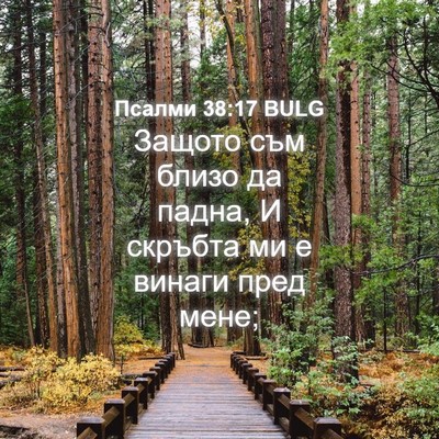 Picture 04 - Псалми 38:17 BULG - Защото съм близо да падна, - Bible Verse Picture
