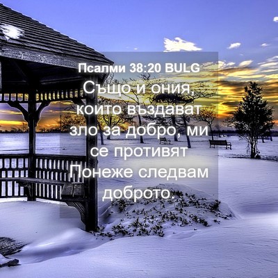 Picture 04 - Псалми 38:20 BULG - Също и ония, които въздават - Bible Verse Picture