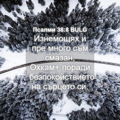 Picture 04 - Псалми 38:8 BULG - Изнемощях и пре много съм - Bible Verse Picture