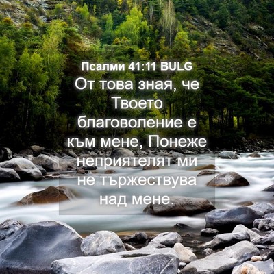 Picture 04 - Псалми 41:11 BULG - От това зная, че Твоето - Bible Verse Picture