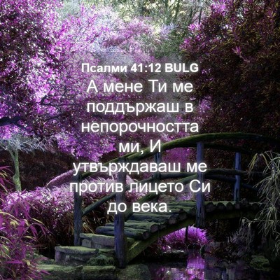 Picture 04 - Псалми 41:12 BULG - А мене Ти ме поддържаш в - Bible Verse Picture