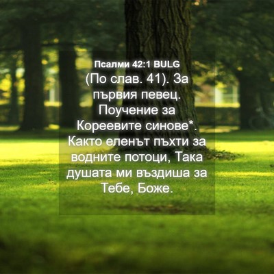 Picture 04 - Псалми 42:1 BULG - (По слав. 41). За първия - Bible Verse Picture