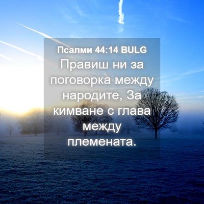 Picture 04 - Псалми 44:14 BULG - Правиш ни за поговорка - Bible Verse Picture