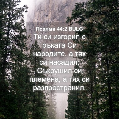 Picture 04 - Псалми 44:2 BULG - Ти си изгорил с ръката Си - Bible Verse Picture