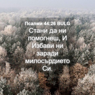 Picture 04 - Псалми 44:26 BULG - Стани да ни помогнеш, И - Bible Verse Picture