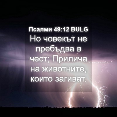 Picture 04 - Псалми 49:12 BULG - Но човекът не пребъдва в - Bible Verse Picture