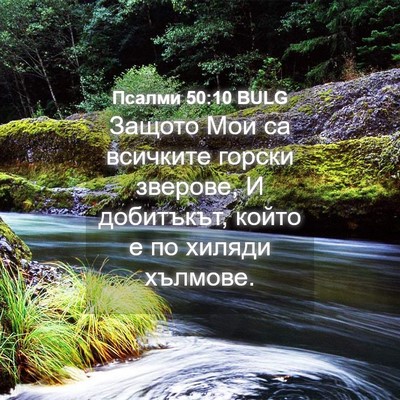 Picture 04 - Псалми 50:10 BULG - Защото Мои са всичките - Bible Verse Picture