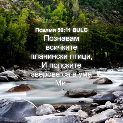 Picture 04 - Псалми 50:11 BULG - Познавам всичките - Bible Verse Picture