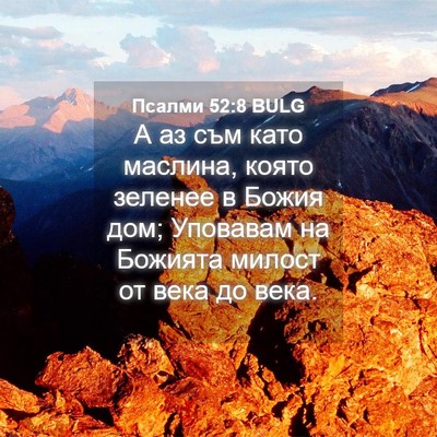 Picture 04 - Псалми 52:8 BULG - А аз съм като маслина, - Bible Verse Picture