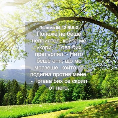 Picture 04 - Псалми 55:12 BULG - Понеже не беше неприятел, - Bible Verse Picture