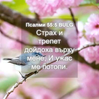 Picture 04 - Псалми 55:5 BULG - Страх и трепет дойдоха - Bible Verse Picture
