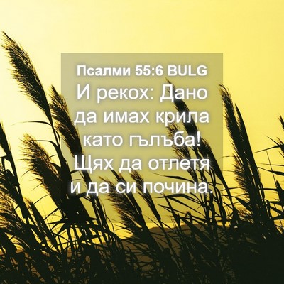 Picture 04 - Псалми 55:6 BULG - И рекох: Дано да имах крила - Bible Verse Picture