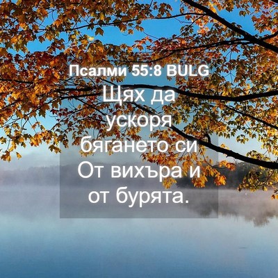 Picture 04 - Псалми 55:8 BULG - Щях да ускоря бягането си - Bible Verse Picture