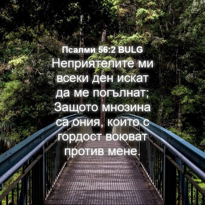 Picture 04 - Псалми 56:2 BULG - Неприятелите ми всеки ден - Bible Verse Picture