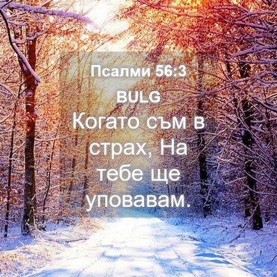 Picture 04 - Псалми 56:3 BULG - Когато съм в страх, На тебе - Bible Verse Picture