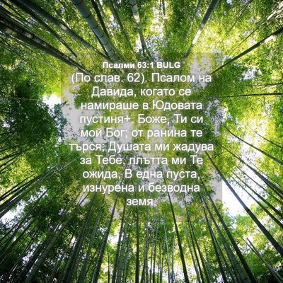 Picture 04 - Псалми 63:1 BULG - (По слав. 62). Псалом на - Bible Verse Picture