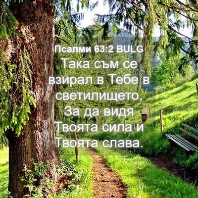 Picture 04 - Псалми 63:2 BULG - Така съм се взирал в Тебе в - Bible Verse Picture