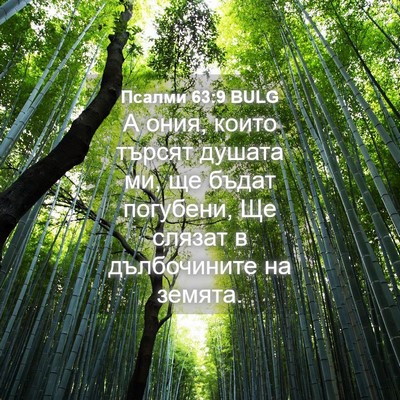 Picture 04 - Псалми 63:9 BULG - А ония, които търсят душата - Bible Verse Picture
