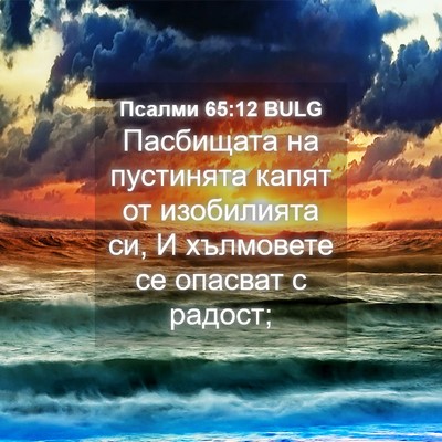 Picture 04 - Псалми 65:12 BULG - Пасбищата на пустинята - Bible Verse Picture