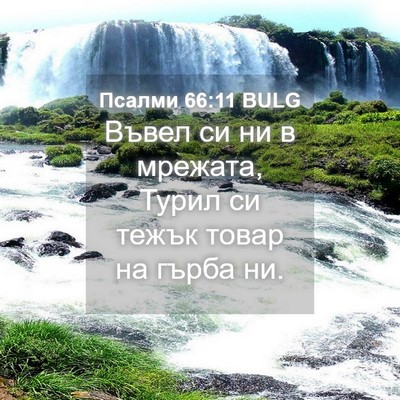 Picture 04 - Псалми 66:11 BULG - Въвел си ни в мрежата, - Bible Verse Picture