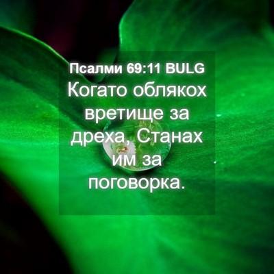 Picture 04 - Псалми 69:11 BULG - Когато облякох вретище за - Bible Verse Picture