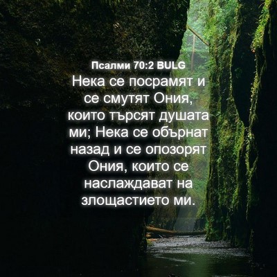 Picture 04 - Псалми 70:2 BULG - Нека се посрамят и се - Bible Verse Picture