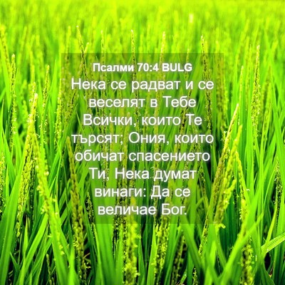 Picture 04 - Псалми 70:4 BULG - Нека се радват и се веселят - Bible Verse Picture