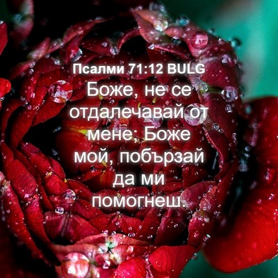 Picture 04 - Псалми 71:12 BULG - Боже, не се отдалечавай от - Bible Verse Picture