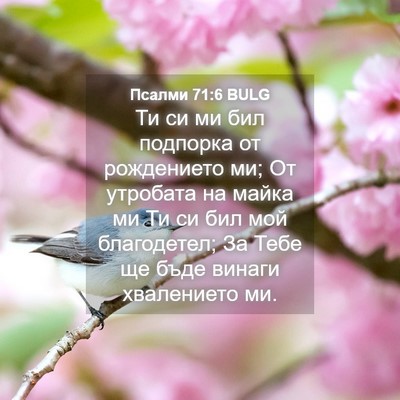 Picture 04 - Псалми 71:6 BULG - Ти си ми бил подпорка от - Bible Verse Picture