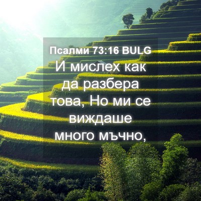 Picture 04 - Псалми 73:16 BULG - И мислех как да разбера - Bible Verse Picture