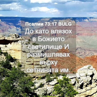 Picture 04 - Псалми 73:17 BULG - До като влязох в Божието - Bible Verse Picture