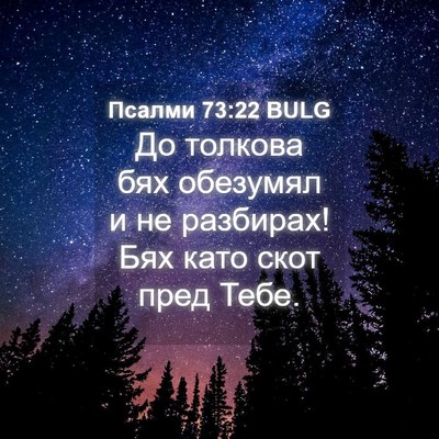 Picture 04 - Псалми 73:22 BULG - До толкова бях обезумял и - Bible Verse Picture