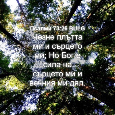 Picture 04 - Псалми 73:26 BULG - Чезне плътта ми и сърцето - Bible Verse Picture