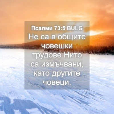 Picture 04 - Псалми 73:5 BULG - Не са в общите човешки - Bible Verse Picture
